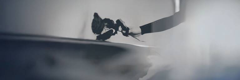 Naisen käsi jossa ruusu jota hän laskee arkun kannelle.